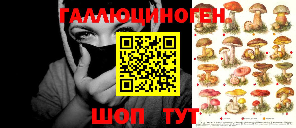 купить закладку  Вход с VPN  Златоуст  Галлюциногенные грибы Magic Shrooms 